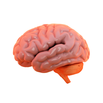 Big 5 - Хувь хүний зан чанар онцлогийг судлах тест